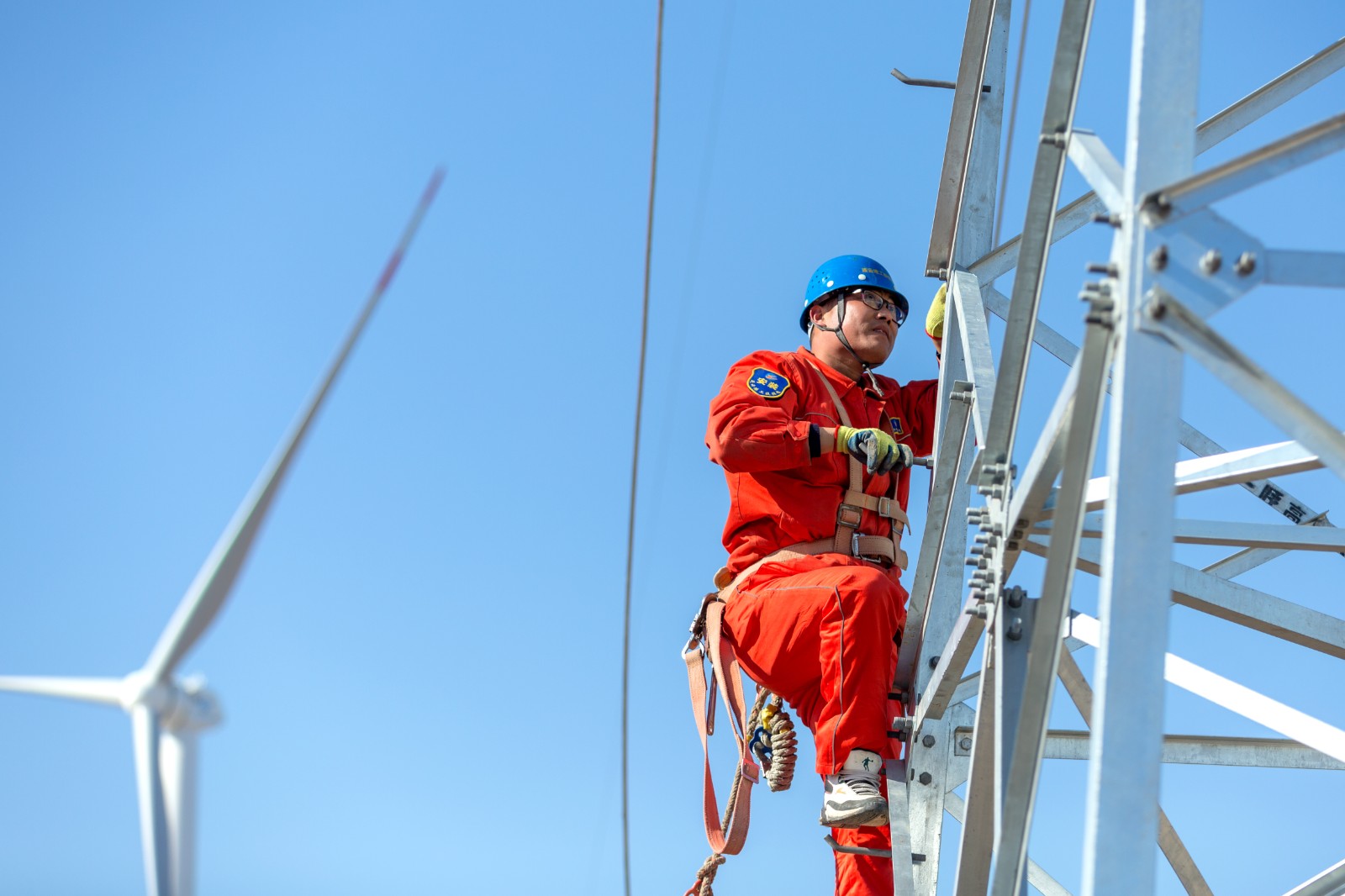 1746000870998 陳青